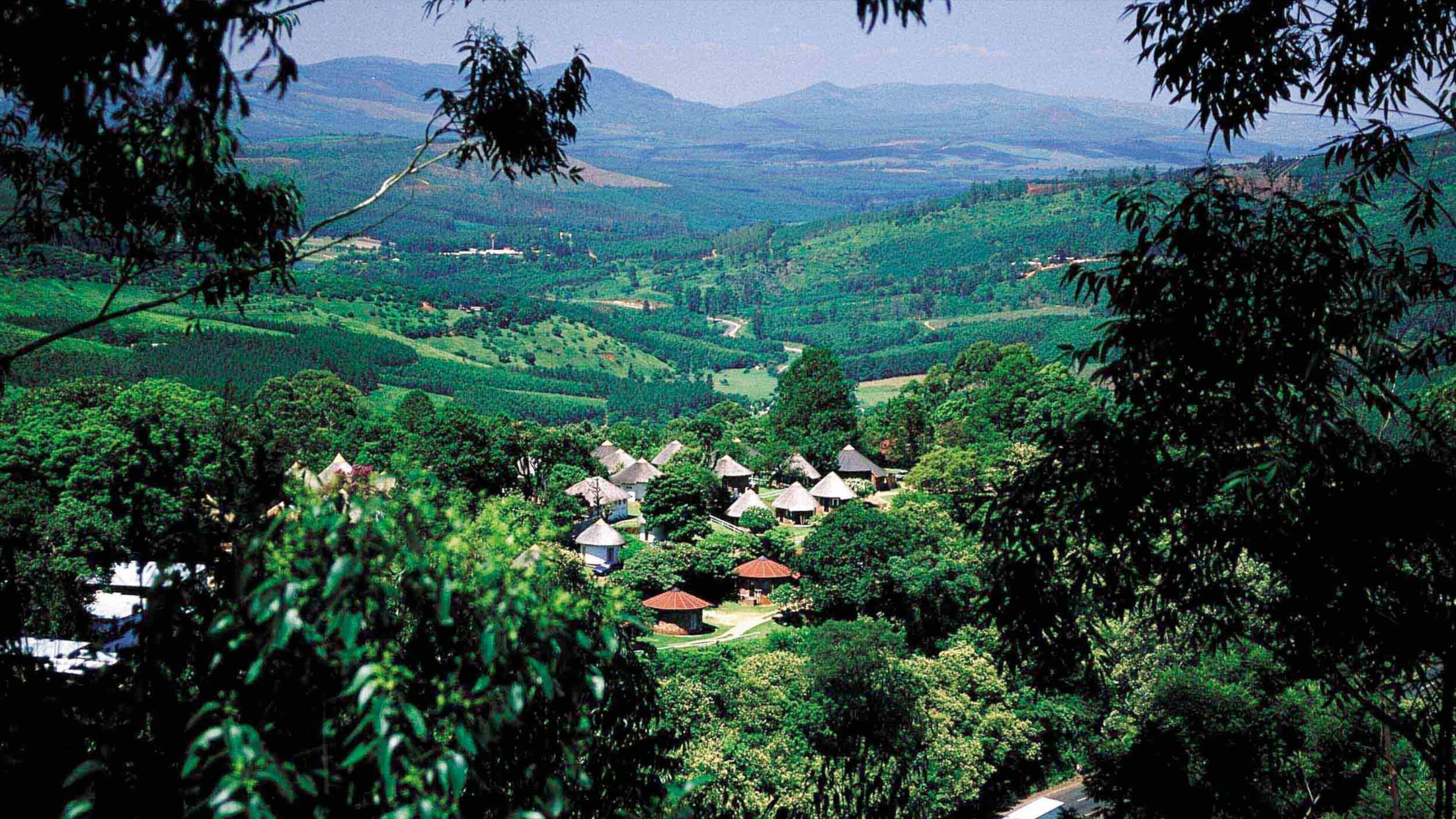Limpopo K53 Learner's Licence Test