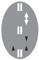 k53 learners licence